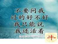 山西康邙嘉纶科技有限公司