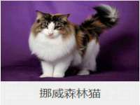 山西康邙嘉纶科技有限公司