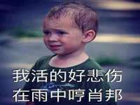 山西康邙嘉纶科技有限公司