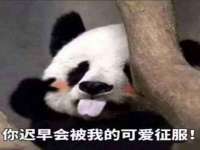 山西康邙嘉纶科技有限公司