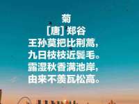 山西康邙嘉纶科技有限公司