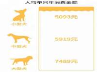山西康邙嘉纶科技有限公司