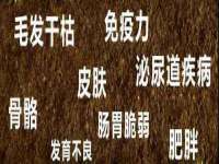 山西康邙嘉纶科技有限公司
