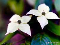 山西康邙嘉纶科技有限公司