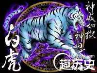 山西康邙嘉纶科技有限公司