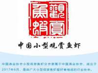 山西康邙嘉纶科技有限公司
