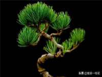 山西康邙嘉纶科技有限公司