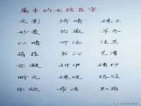 山西康邙嘉纶科技有限公司